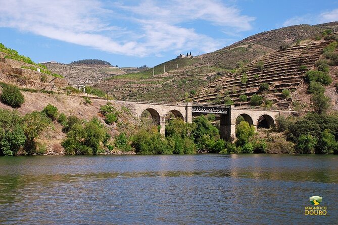 1-Hour Rabelo Boat Trip in Pinhão - Where this cruise starts: the Pinhão dock setup
