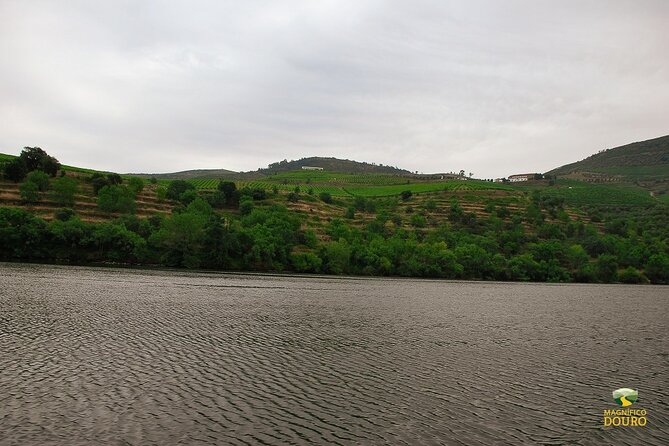 1-Hour Rabelo Boat Trip in Pinhão - Views, crowds, and timing: the biggest variable in 60 minutes