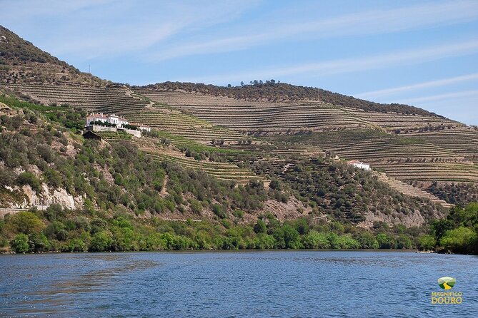 1-Hour Rabelo Boat Trip in Pinhão - Price and value: is $18 worth it?