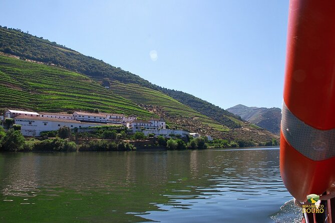 1-Hour Rabelo Boat Trip in Pinhão - Who this 1-hour Pinhão cruise fits best