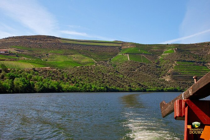 1-Hour Rabelo Boat Trip in Pinhão - The route in plain terms: from Pinhão to Roncão and back