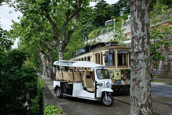 2 Hour Discover Gaia on a Private Eco-Friendly Tuk Tuk Tour - Eco-friendly tuk tuk meets big Porto views from the other side