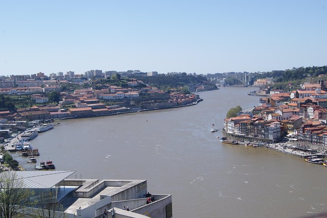 3-Hour Guided Walking Tour of Porto - Dom Luís I Bridge: understanding Porto’s layers