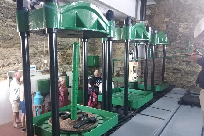 3-Hour Tour to Discover Pinhão - Moment of Discovery - The Quinta visit in Pinhão: wine tastings with real structure