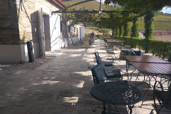 3-Hour Tour to Discover Pinhão - Moment of Discovery - Timing: how this fits into your day in the Douro