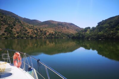 4H Private Boat Trip on the Douro River - Feel the Nature - The movable dam stop: engineering you can actually see