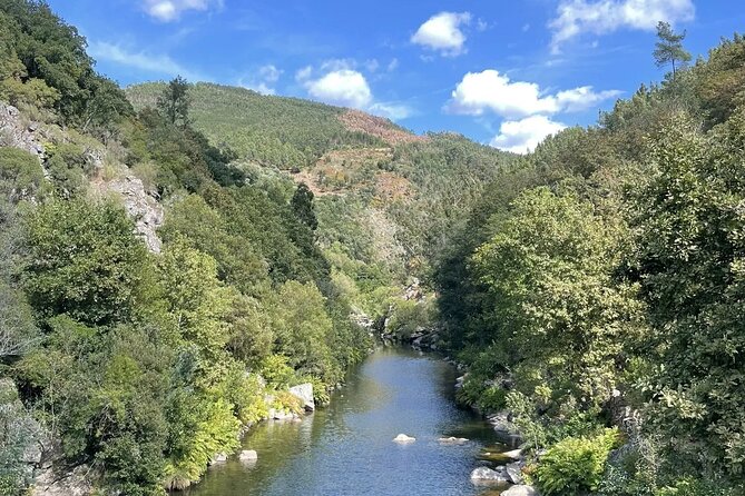 Adventure Paiva Passages: Suspension Bridge and Picnic | Porto - Noon picnic in nature: Portuguese comfort that breaks the day