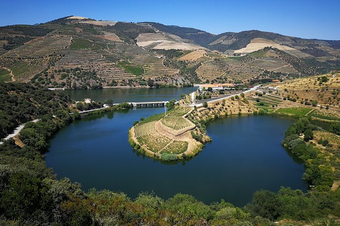 Authentic Douro Valley - small-Group Tour (Max 7) - Returning to Porto: end-of-day comfort and a real wind-down