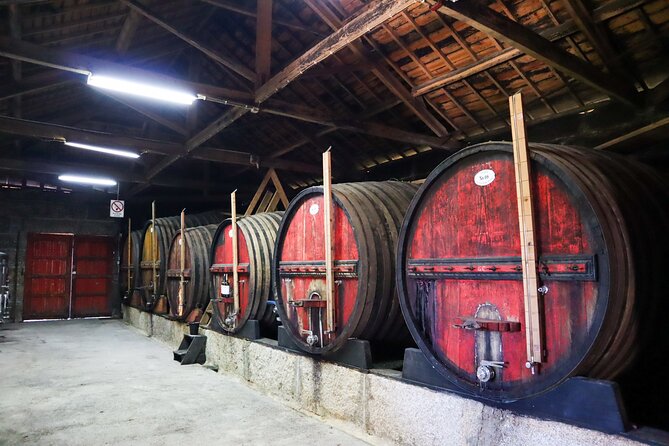 Authentic Small Group Douro Wine Tour with Lunch & River Cruise - Pinhão and the Rabelo Cruise: See the Douro Like a Wine Cargo Route