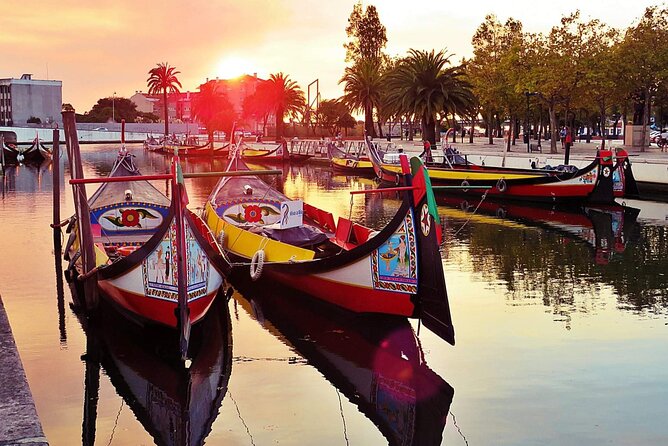 AVEIRO and COSTA NOVA Private Full Day Tour from Porto - Key highlights to know before you go