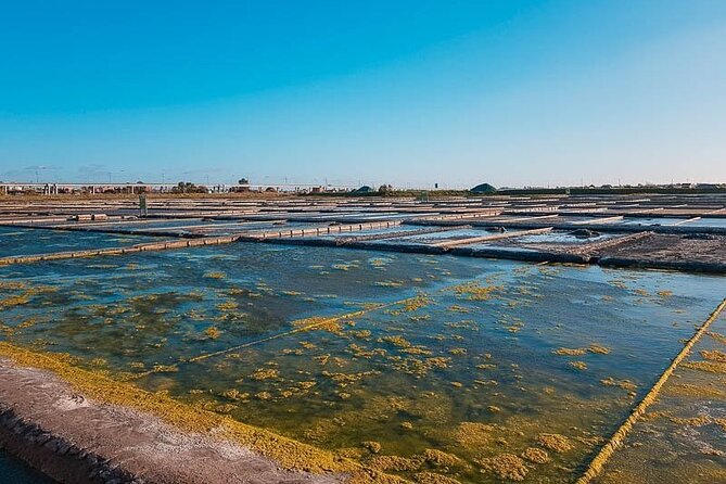 AVEIRO and COSTA NOVA Private Full Day Tour from Porto - Free Time in Aveiro: Use the Half Hour for What You Actually Want