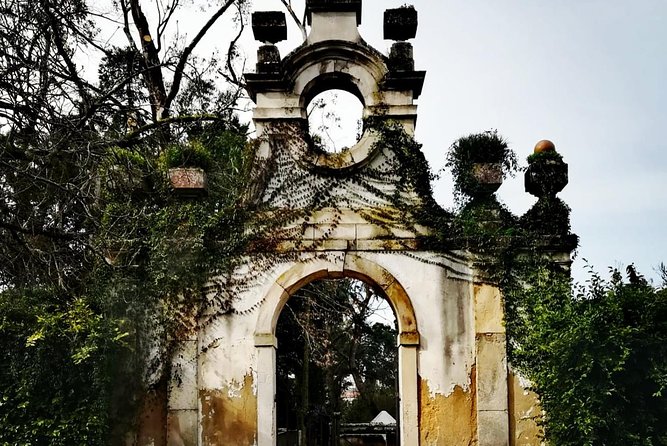 Aveiro, Costa Nova and Coimbra Private Tour From Porto - Mercado do Peixe da Costa Nova: a quick stop that sets the tone