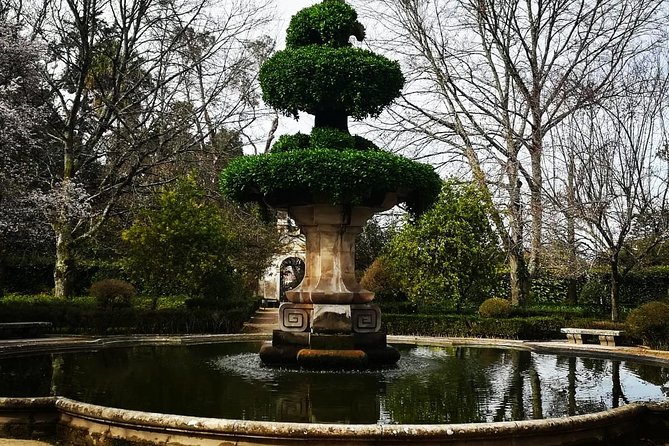 Aveiro, Costa Nova and Coimbra Private Tour From Porto - Costa Nova free time: short wander with real ocean-town payoff