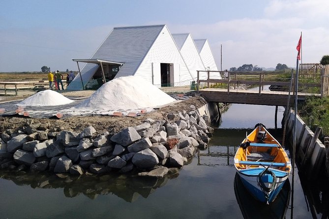 Aveiro & Costa Nova Private Tour – Canals & Striped Houses - São Jacinto dunes: a nature stop that’s not just a photo break