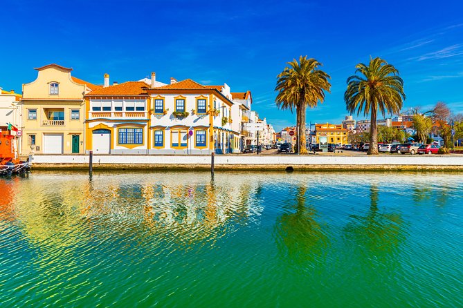 Aveiro Half Day Private Tour Porto w/ Moliceiro River Cruise - The Moliceiro cruise: canals, color, and a couple of photo strategies