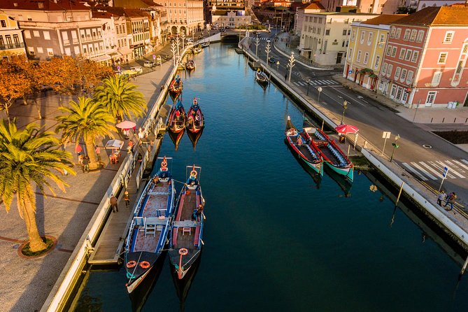 Aveiro Half Day Private Tour Porto w/ Moliceiro River Cruise - Museum time without the ticket headache