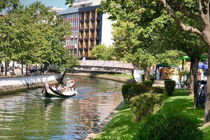 Aveiro Rent a Bike - 4 hours - Who This Is Best For (And Who Might Want Something Else)