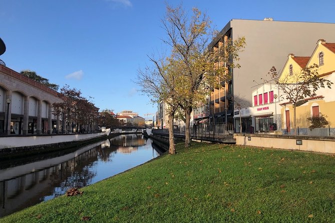 Aveiro Rent a Bike - 4 hours - The Bike Lineup: From Electric Ease to Tandems for Two