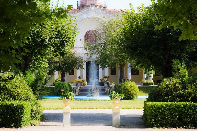 Bairrada Private Tour (Luso & Curia Villages) with Wine Tasting - Curia thermal pause: a spa town break that’s actually built into the day