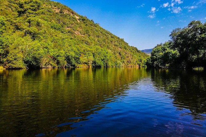 Best of Douro Valley Wine Full Day Private Tour - Key highlights that matter before you go