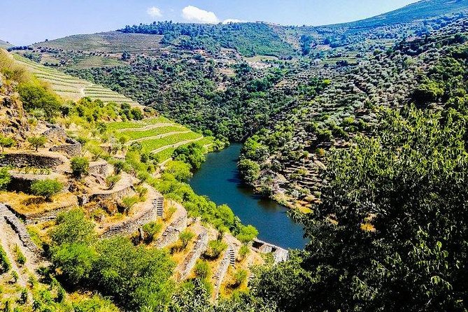 Best of Douro Valley Wine Full Day Private Tour - Armamar Miradouro viewpoint: a short pause that helps you read the valley