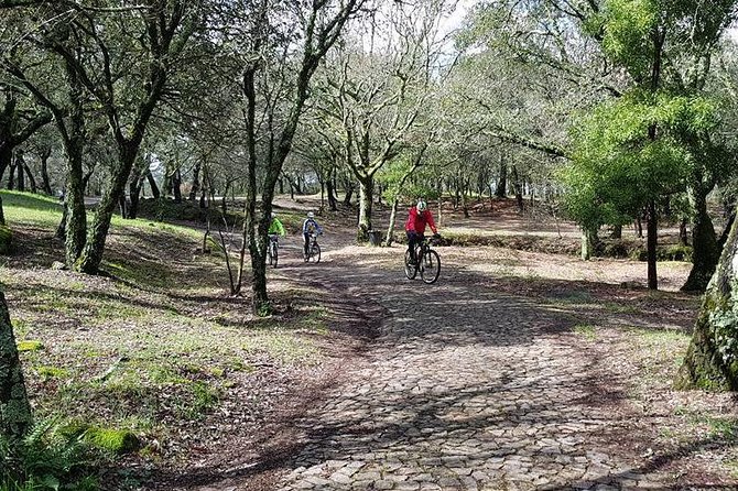 Bicycle rental in Porto for the Santiago de Compostela Road - A realistic 5-day rhythm for riding 35–40 miles per day