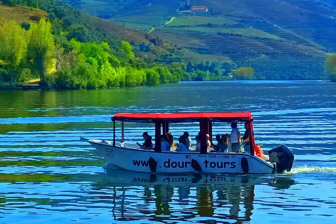 Boat tour 50min through the river Douro in Pinhão - Entering The Pinhão Pier: Meet-Up That Actually Makes Sense