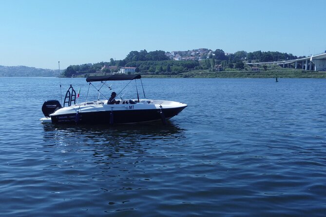 Boat Trip in Douro Porto - Arrive at Marina do Freixo and get settled fast