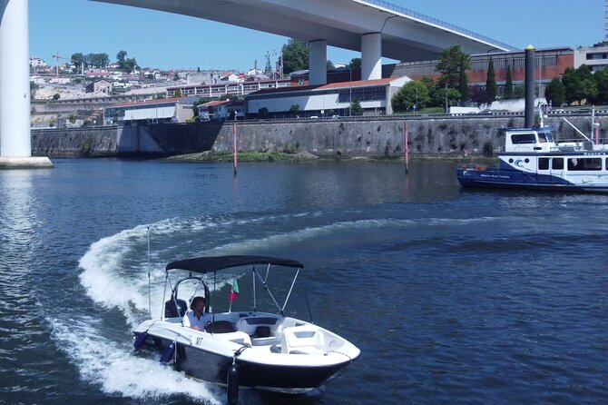 Boat Trip in Douro Porto - The Douro River stretch: quiet upstream time for mind and body