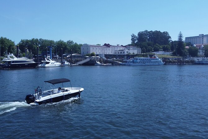 Boat Trip in Douro Porto - Timing in Porto: when this fits best