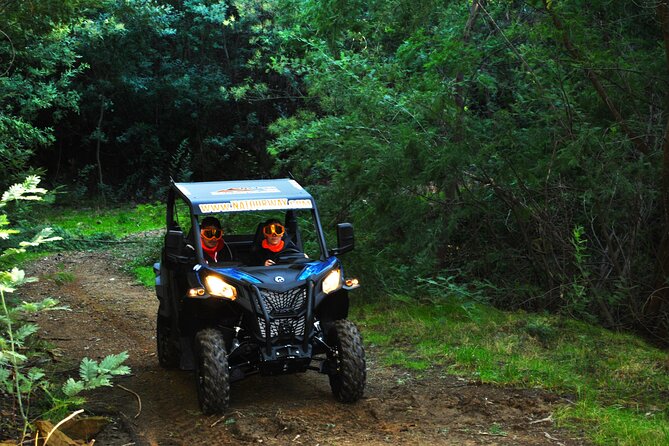 Buggy Experience at Arouca Geopark - Waterfalls and the 516 Arouca Bridge: The Stops That Do the Heavy Lifting