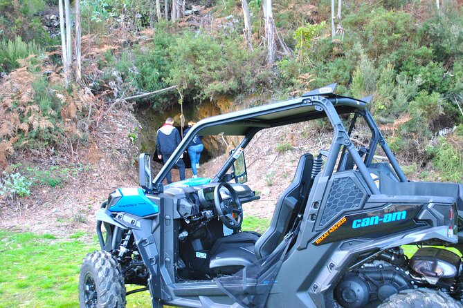 Buggy Experience at Arouca Geopark - How the Guides Turn a Drive Into a Learning Moment