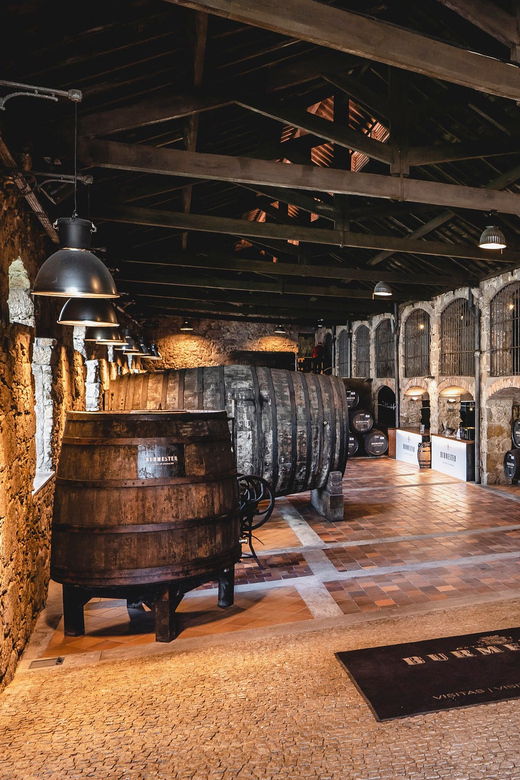 Burmester Cellar Tour - Port wine production and Douro DOC: what the guide helps you notice