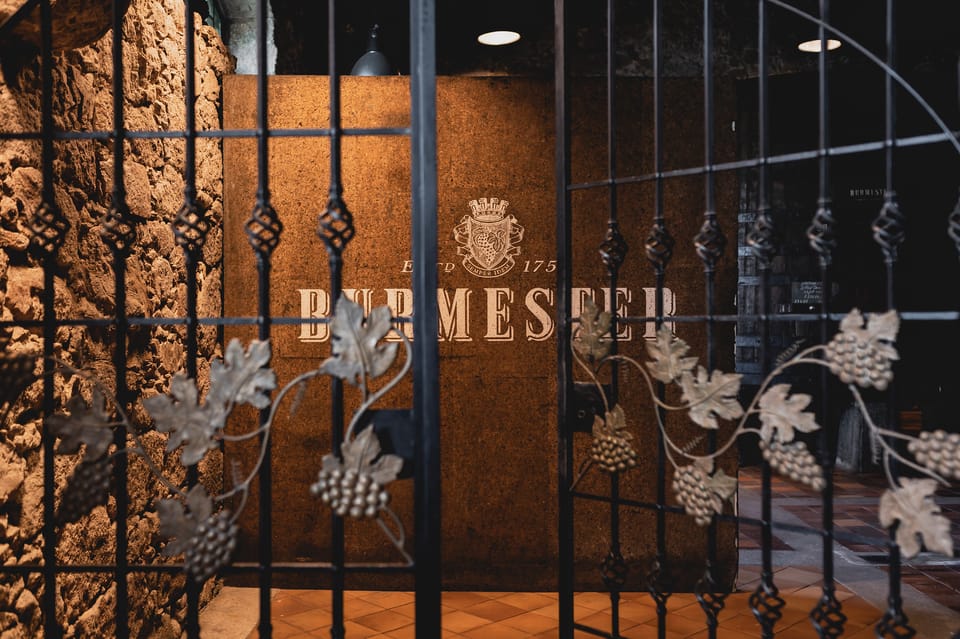 Burmester Cellar Tour - The tasting portion: two Port wines, guided and comparative