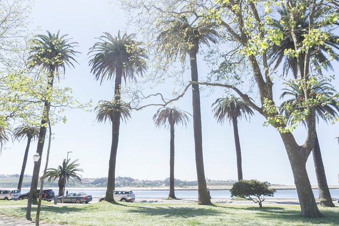 City Bike Rental in Porto - Best for first-timers, practical explorers, and food-focused riders