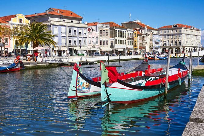 Coimbra & Aveiro Full Day Private Tour from Porto - Ria de Aveiro Moliceiro Cruise: Included Canal Time You’ll Actually Enjoy