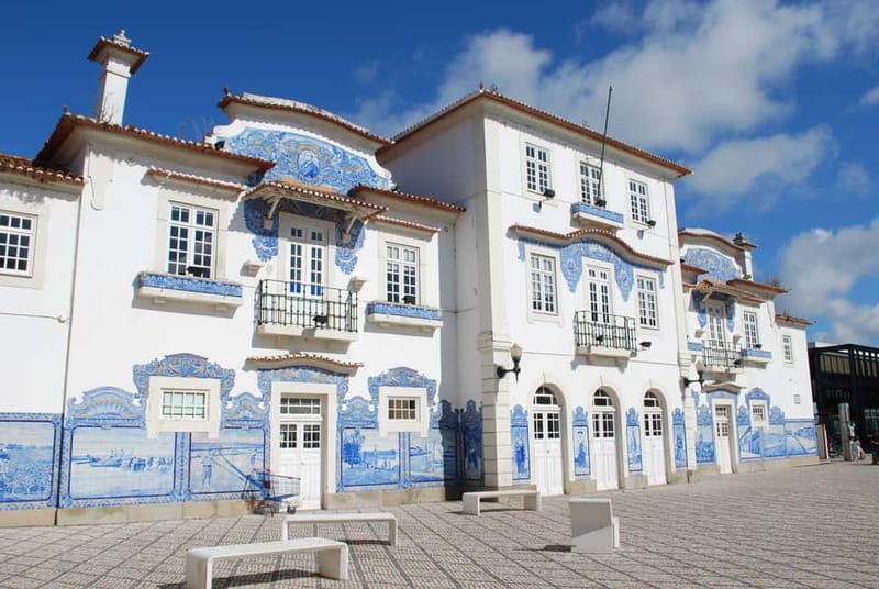 Coimbra & Aveiro Private Tour – Customizable Experience - Aveiro on foot: Art Nouveau tiles, canals, and sea-tradition vibes