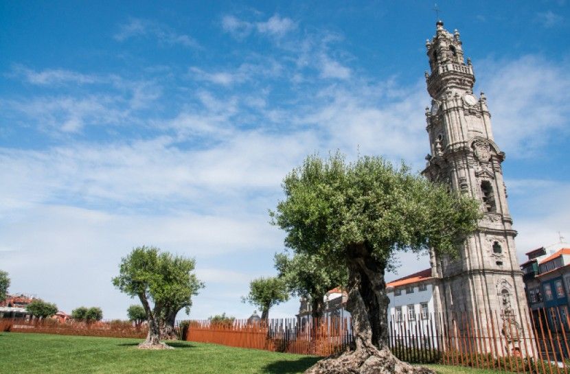 Combo: Porto City Half-Day Tour & Aveiro Half-Day Tour - The Long Day Effect: Why Timing Matters for an 8-Hour Combo