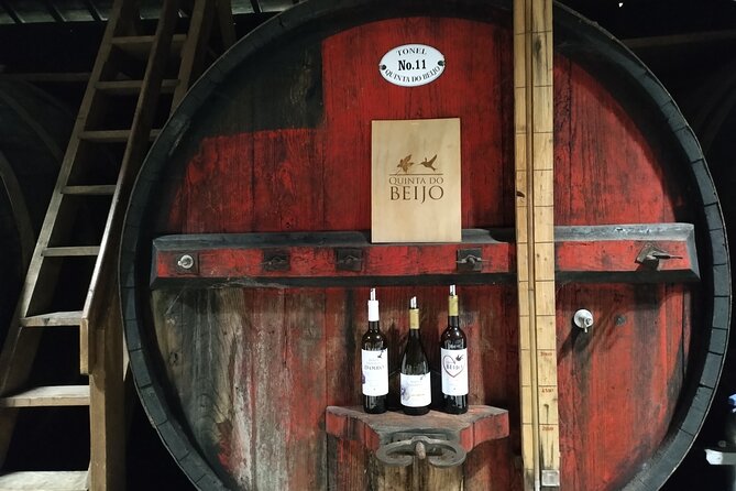Complete Private Douro Valley Wine Tour - Stop 2 in Peso da Régua: barrel wood, stones, and a chocolate pairing