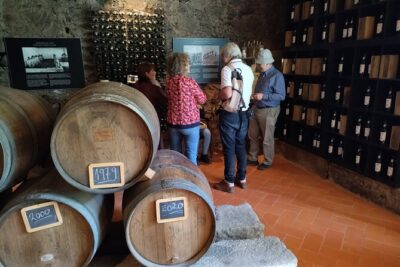 Complete Private Douro Valley Wine Tour - Pickup, timing, and how the 9 hours really works