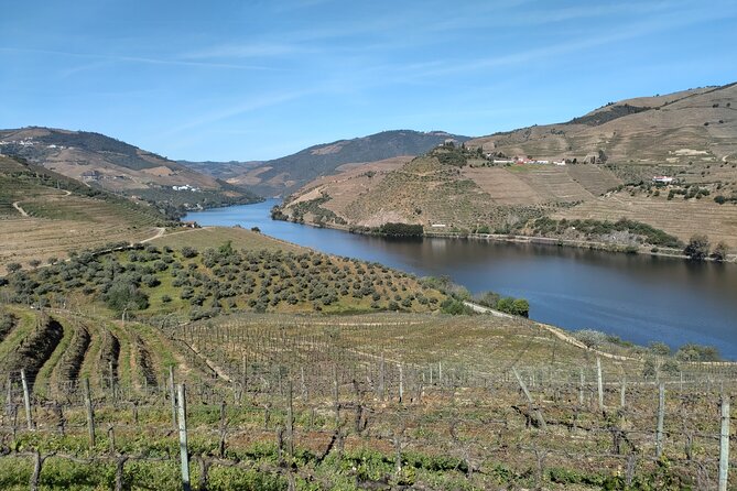 Complete Private Douro Valley Wine Tour - Price and value: why $201.76 can make sense here