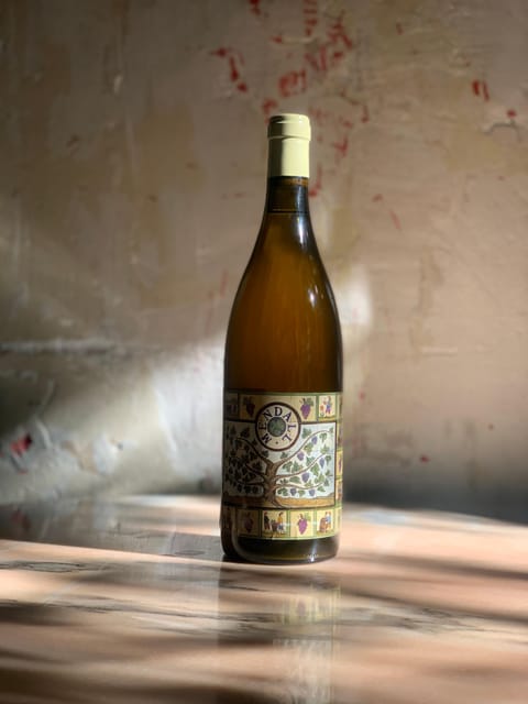 Córdoba: Discover the Soul of Spanish Natural Wine & Cuisine - A Cordoba-style natural wine tasting, right in Portugal’s Norte