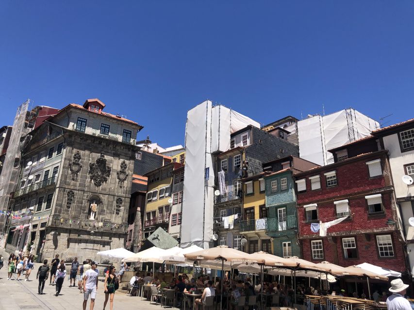 Córdoba: Discover the Soul of Spanish Natural Wine & Cuisine - At Jugo Vinos: what to expect when you arrive