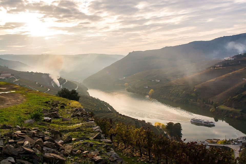Day Cruise from Porto to Pinhão with Breakfast and Lunch - Who this Douro cruise suits best