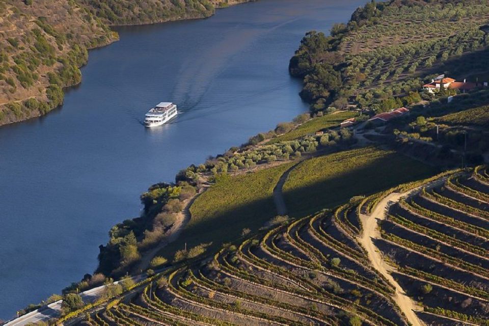 Day Cruise from Porto to Pinhão with Breakfast and Lunch - The Douro Valley stretch: vineyards, quintas, and those big dam passes