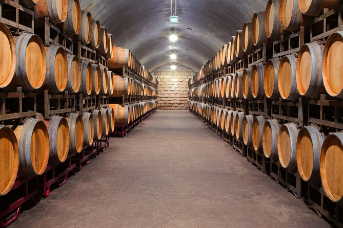 Discover the Charm of Porto with a Picturesque Private Journey - Burmester Caves and Porto Wine: A Structured Tasting Stop