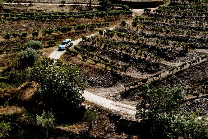 Douro Adventure - Tour 4x4 | Full Day Private Tour | All Included - Boat time on the Douro: seeing the valley from the water
