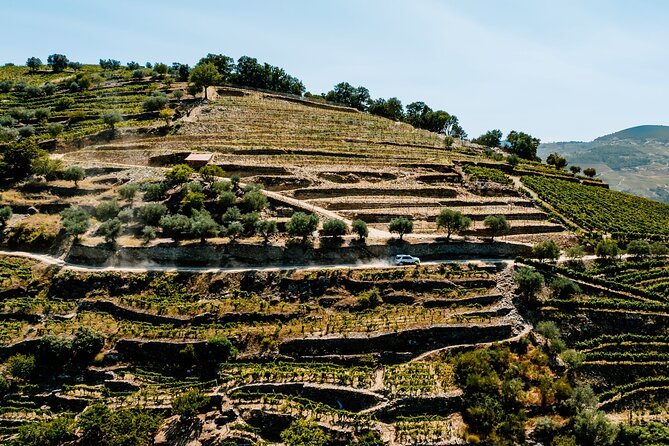 Douro Adventure - Tour 4x4 | Full Day Private Tour | All Included - Price and value: is $295.73 per person worth it?