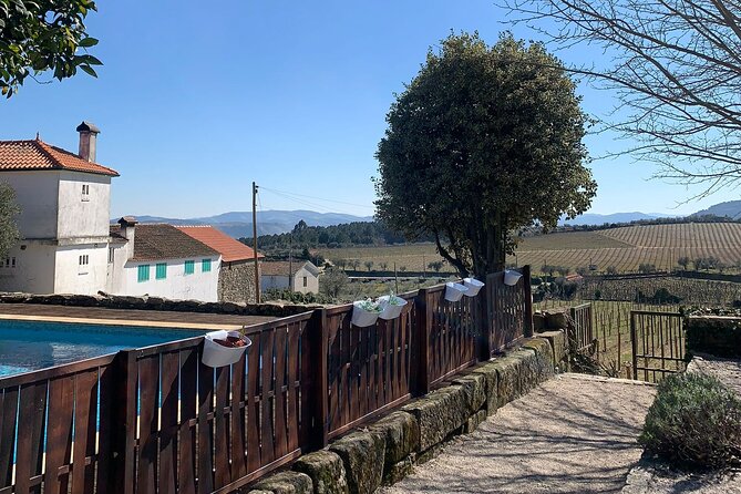 Douro Full Day Tour with Wine Tasting and Lunch - How This Douro Day Plays Out (And Why It Feels Worth It)