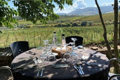 Douro Full Day Tour with Wine Tasting and Lunch - Getting Started: Cais da Régua and the 9:30 AM Move
